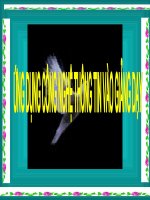 Hướng dẫn người mới học vi tính cách soạn bài trên Microsoft Office PowerPoint 2003