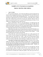 SKKN về E-Learning