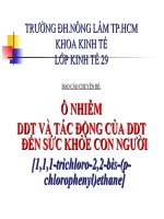 Tìm hiểu về DDT