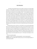 Một số giải pháp nhằm hoàn thiện công tác kế toán hoạt động nhập khẩu và tiêu thụ hàng nhập khẩu