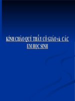 bai 15: Tieu hoa o dong vat