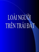 Loài người trên Trái đất