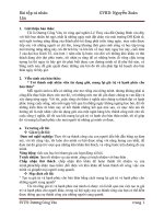 bài tập cá nhân