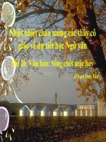 Bài 26. Văn bản : Sống chết mặc bay