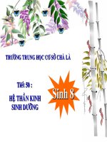 tiết 50-hệ thần kinh sinh dưỡng