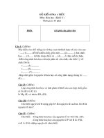 de KT8 moiai 45p1-l8