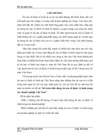 Kế toán biến động tài sản cố định vô hình trong các doanh nghiệp Việt Nam