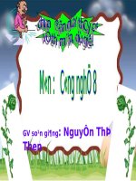 Bai 50: cau tao va dac diem trong nha (GA thi chuyen de huyen)