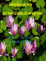 Tien hoa sinh san