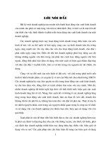 giải pháp nâng cao hiệu quả tại công ty cổ phần khoáng sản An Vượng