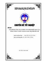 Giải pháp tăng xuất khẩu sản phẩm dệt may của tổng công ty Đức Giang sang thị trường Mỹ