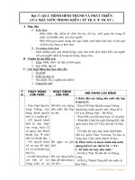 quá trình hình thành và phát triển của nhà nước phong kiến