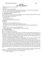 Giáo án hương nghiệp 10