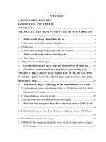 THỰC TRẠNG HOẠT ĐỘNG ĐẦU TƯ DỰ ÁN TẠI CÔNG TY CP BẤT ĐỘNG SẢN TÀI CHÍNH DẦU KHÍ (PVFC LAND) GIAI ĐOẠN 2007 - 2010