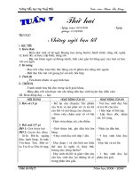 Tuần 7 - lớp 5 (mới)