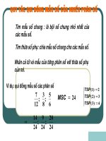 Qui dong mau phan thuc