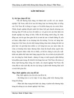 Xây dựng và phát triển thương hiệu hàng tiêu dùng ở Việt Nam