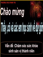CHUYÊN ĐỀ CSSK VỊ THÀNH NIÊN