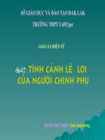TINH CANH LE LOI CUA NGUOI CHINH PHU_ NV10