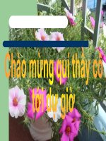 Bài 27 Quá trình hình thành quần thể thích nghi.