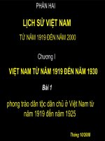 Lịch sử Việt Nam từ 1919-1930