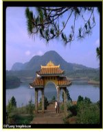 Nguyễn Du và Truyện Kiều