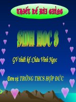 Đong mau và nguyen tăc truyên mau