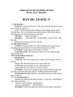 ban du an dau tu 2008