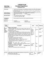 11NC- unit2-Language focus