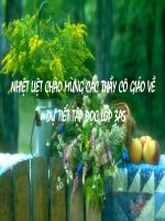 Thư quý bà: Giáo án rất hay..-Bài bị mất