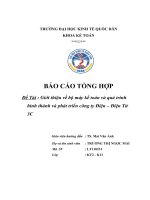 Giới thiệu về bộ máy kế toán và quá trình hình thành và phát triển công ty Điện – Điện Tử 3C