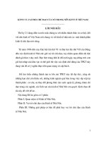 KTNN VÀ VAI TRÒ CHỦ ĐẠO CỦA NÓ TRONG NỀN KTTT Ở VIỆT NAM