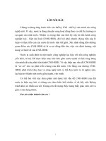 MỤC TIÊU VÀ NHỮNG THÁCH THỨC CỦA CÔNG CUỘC CÔNG NGHIỆP HOÁ- HIỆN ĐẠI HOÁ Ở VIÊT NAM