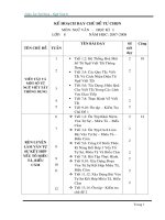 Giáo án tự chọn môn Ngữ văn 8 - HKI