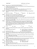 ÔN TẬP BỔ TRỢ SINH HỌC 6