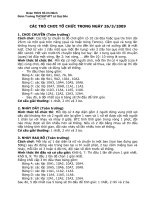 Các trò chơi kỷ niệm 26/3