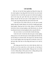 Báo cáo tài chính doanh nghiệp Việt Nam