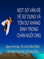 MỘT SỐ VẤN ĐỀ VỀ SỬ DỤNG VÀ TỒN DƯ KHÁNG SINH TRONG CHĂN NUÔI ONG
