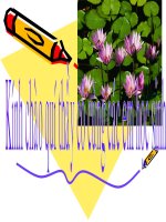 BÀI 8. NƯỚC TA BUỔI ĐẦU ĐỘC LẬP