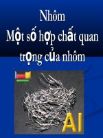 Nhôm và hợp chất của nhôm(NC12)thaogiang