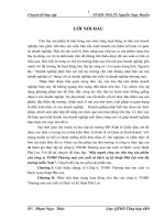 Đẩy mạnh công tác tiêu thụ sản phẩm của công ty TNHH Thương mại sản xuất và Dịch vụ kỹ thuật Phú Lợi trên thị trường miền Nam