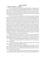 Tìm hiểu công tác đấu giá quyền sử dụng đất tại Thành phố Hà nội từ năm 2003 đến 2005