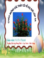 tôn trọng khách nước ngoài