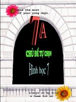 Chủ đề tự chọn Hình học 7