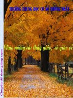 Tiểu đội xe không kính