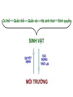 12-Bàii 39-Biến động số lượng cá thể của quần thể