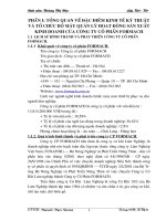 Tổ chức hạch toán tại công ty cổ phần Formach