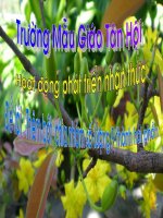 phat trien nhan thuc