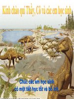 Quá trình hình thành loài mới