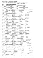 de cuong on tot nghiep phap